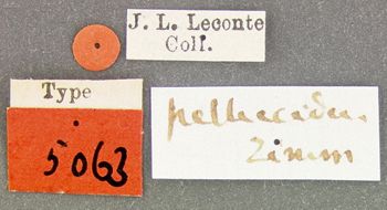 Media type: image;   Entomology 5063 Aspect: labels